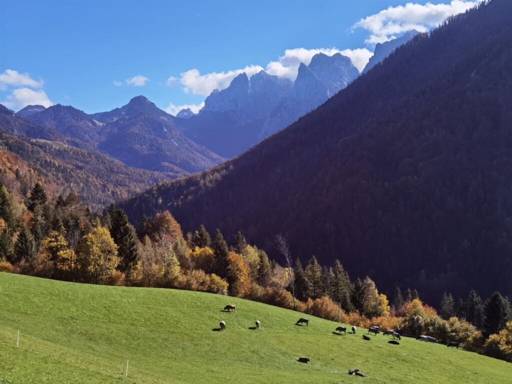 Idyllisches Kaisertal mit Blick auf die Gipfel des Wilden Kaiser