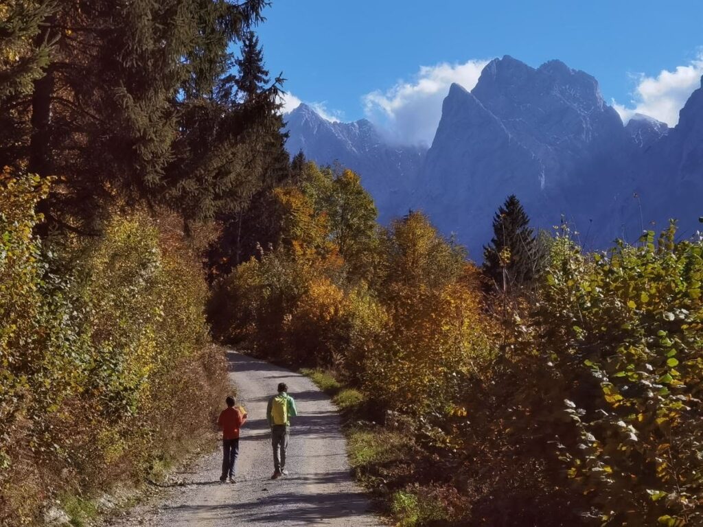 Kaisertal Wanderung - auf dem breiten Weg geht es zwischen den hohen Bergen des Kaisergebirge ins Tal hinein